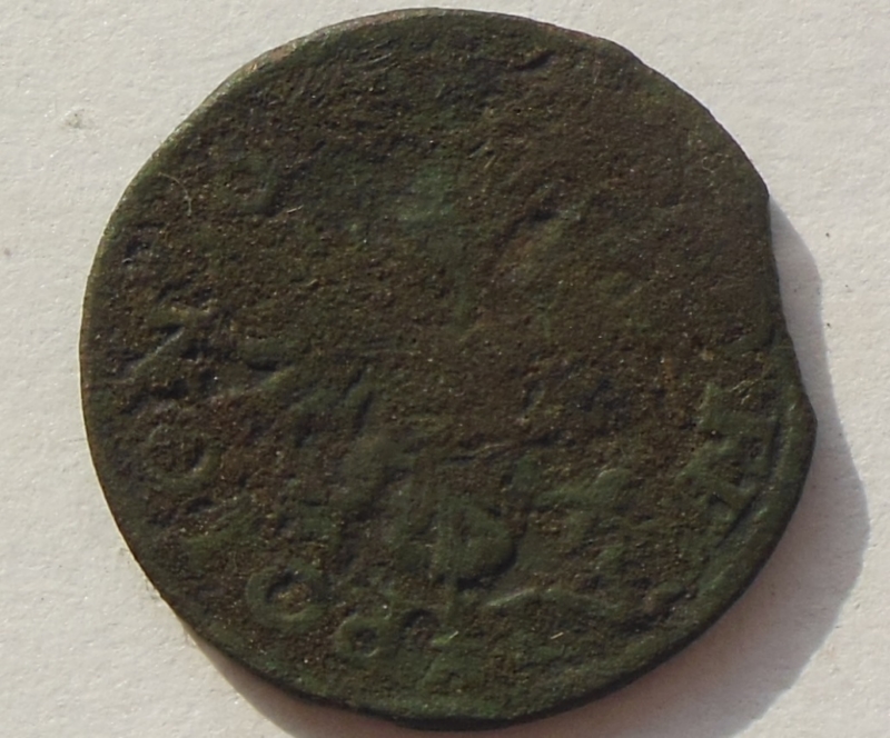 Using-A-Porcupine-To-Clean-Coins!