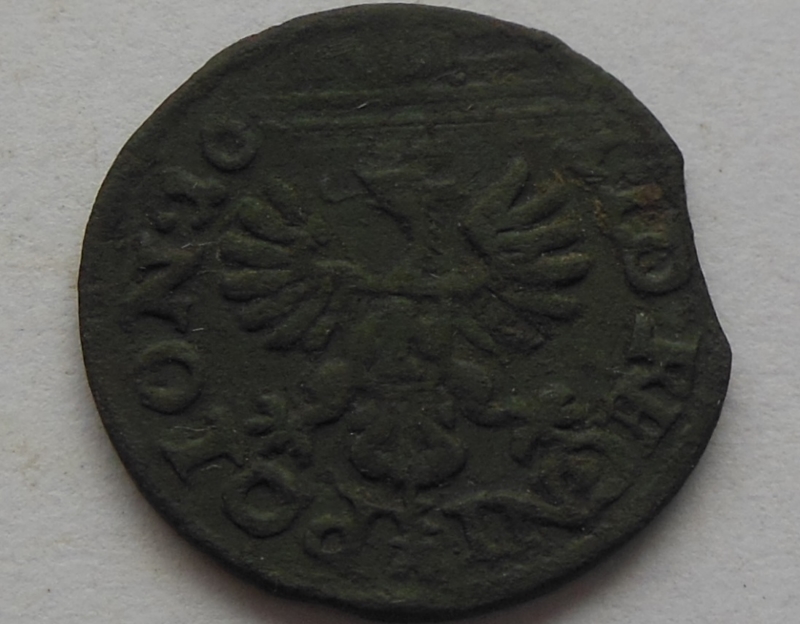 Using-A-Porcupine-To-Clean-Coins!