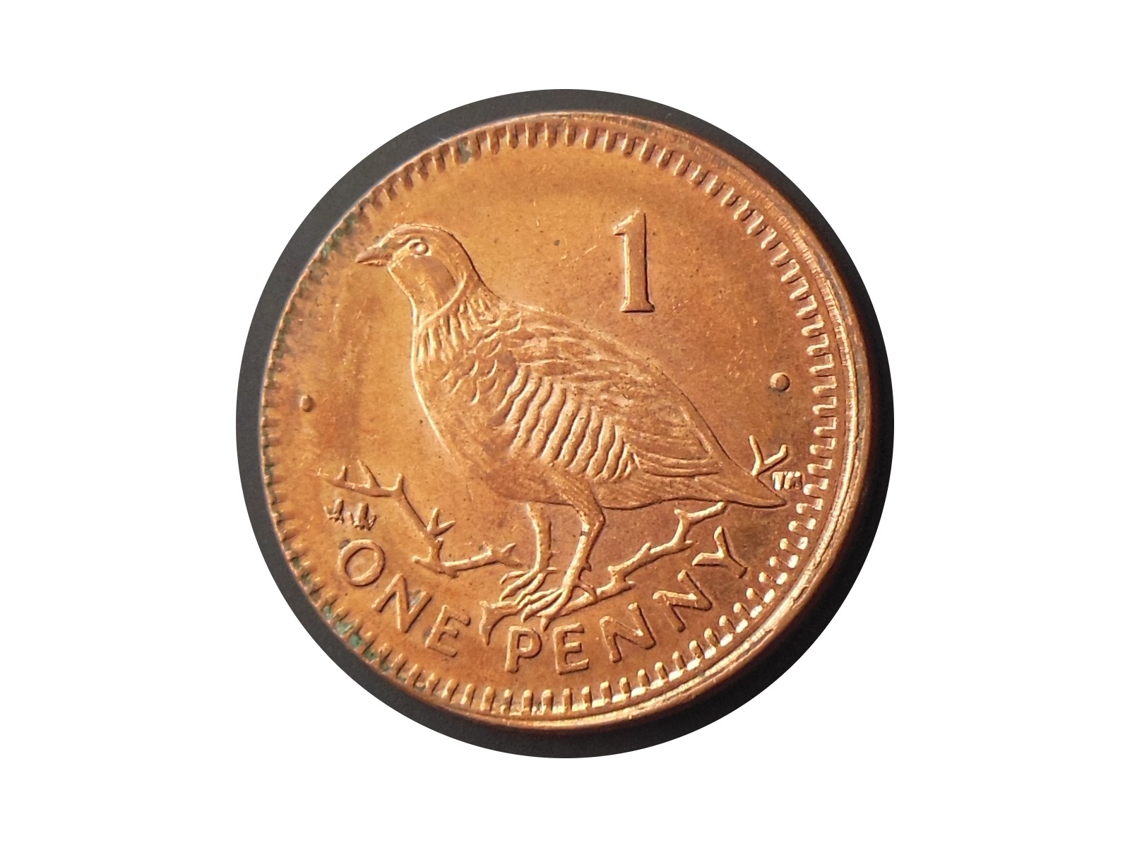 Off-Center-Error---1-Penny-2003-Gibraltar--?
