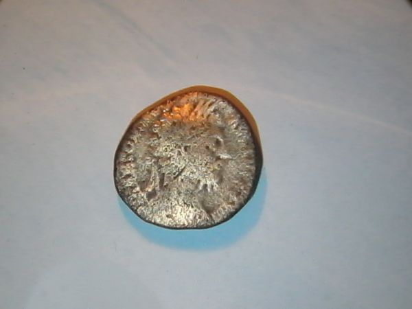 Help-With-ID-Please