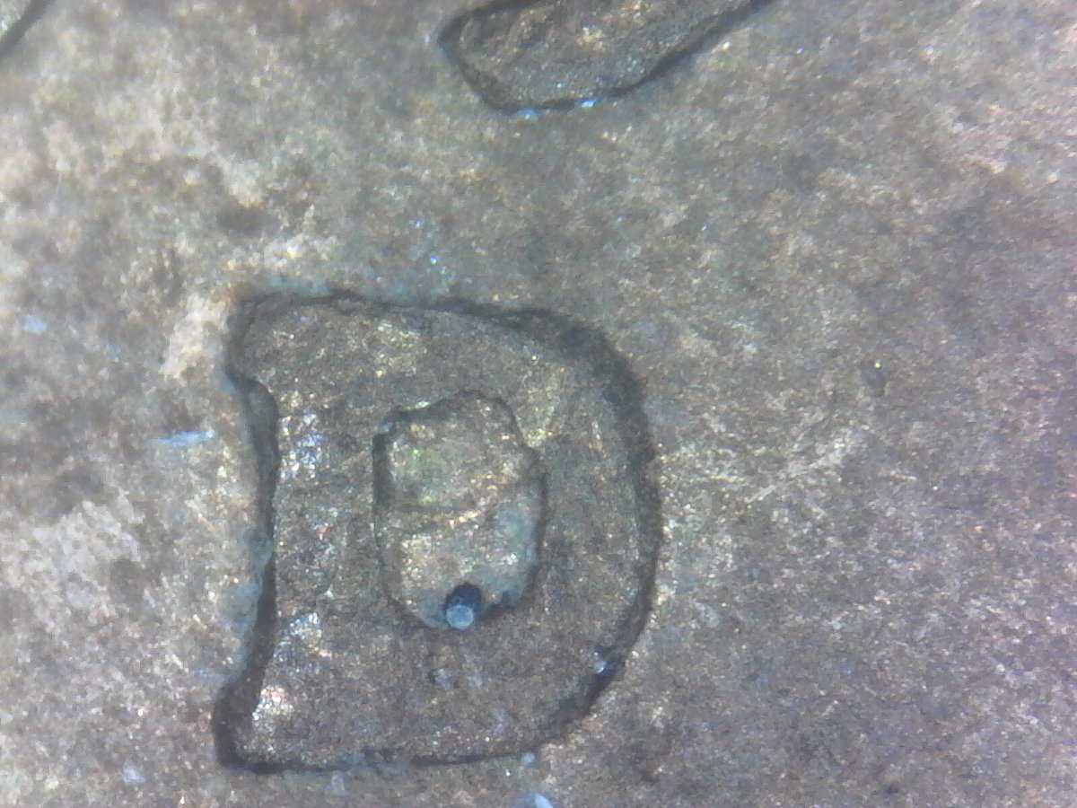 1954-D-LWC---Is-This-A-1954-D-RPM-001-VLDS?
