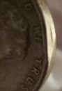 Cool-Looking-Wheatie
