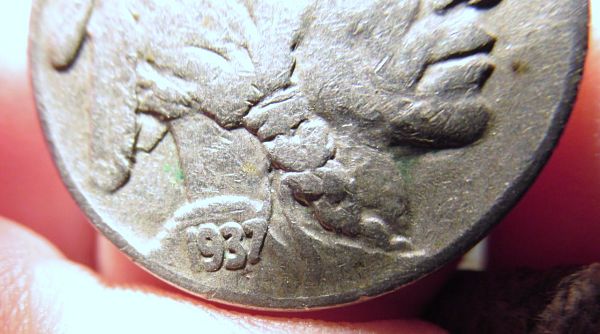 1937-Buffalo-Nickel-DDR?