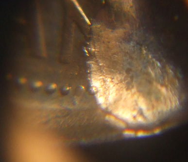 Is-This-Error-From-The-Mint?-I-Think-It-Is!---***new-Pics***