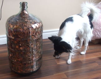 My-Penny-Jar-Is-Full-How-Many-Are-In-It?