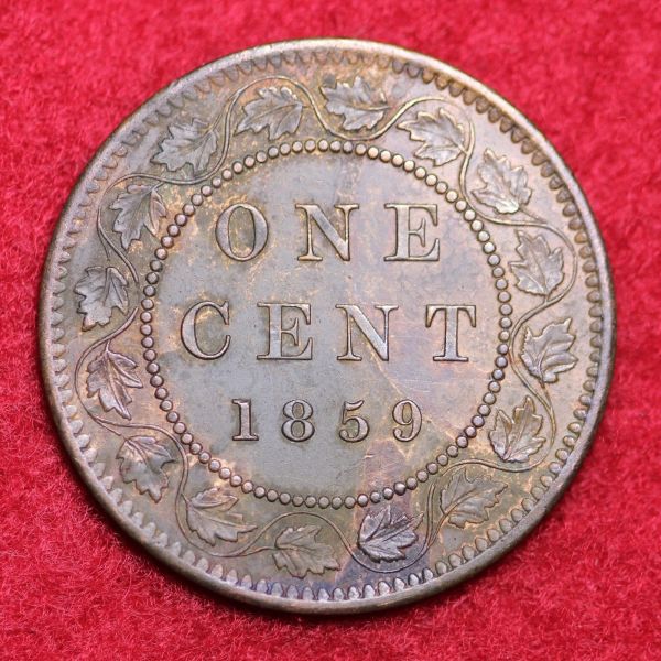 Please-Grade-This-1859-Large-Cent