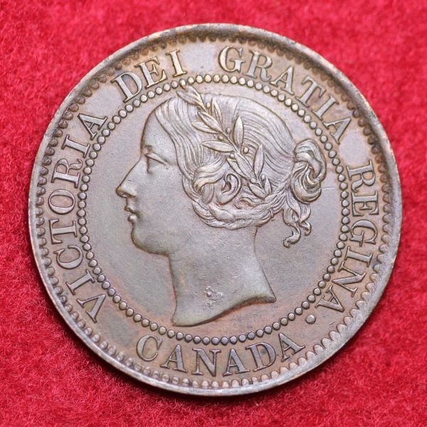 Please-Grade-This-1859-Large-Cent