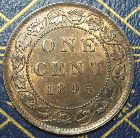 Help-Grade-This-1895-Large-Cent