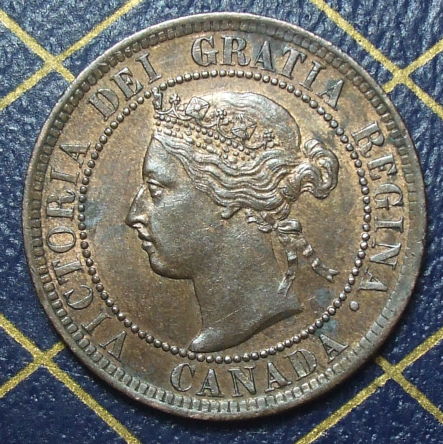 Help-Grade-This-1895-Large-Cent