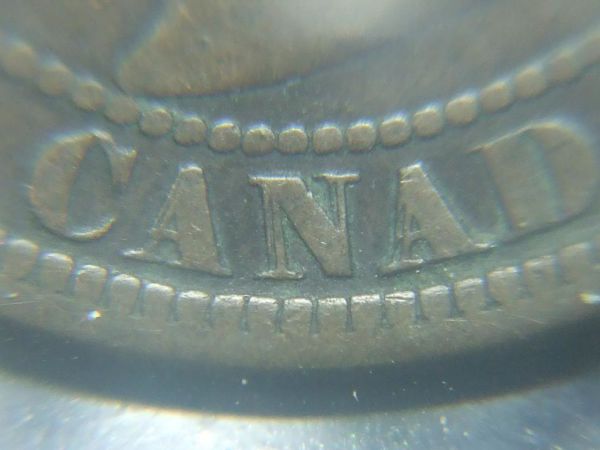 OK-Lets-See-All-Your-Large-Cent-Varieties-From-1876-And-On