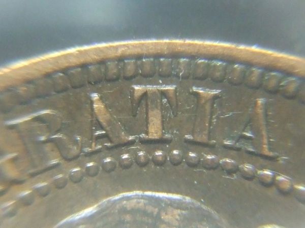 OK-Lets-See-All-Your-Large-Cent-Varieties-From-1876-And-On