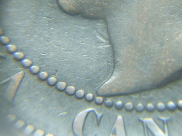 OK-Lets-See-All-Your-Large-Cent-Varieties-From-1876-And-On