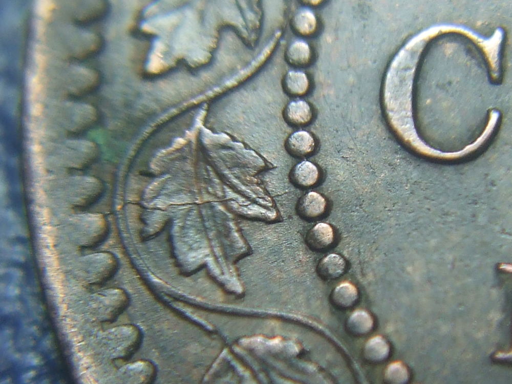 Let's-Just-See-All-Your-1859-Large-Cents