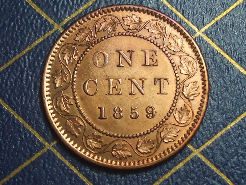 Help-With-This-1859/8