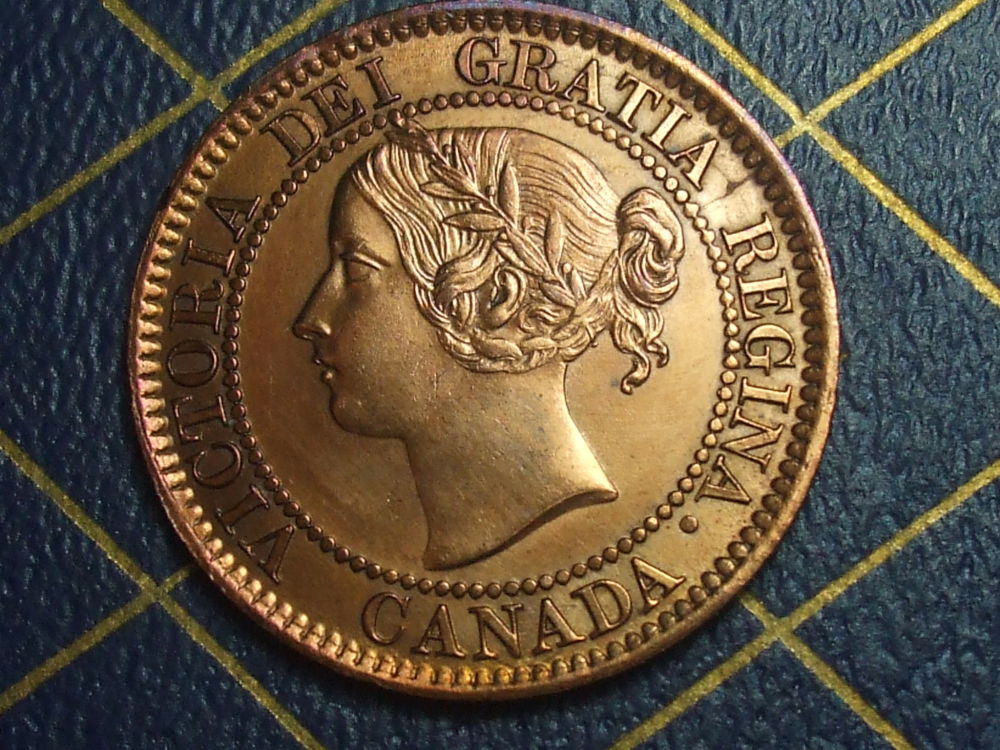 Help-With-This-1859/8