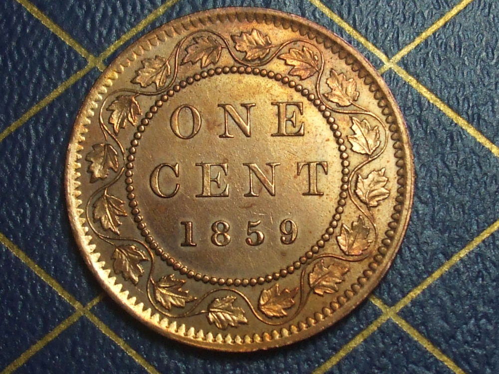 Help-With-This-1859