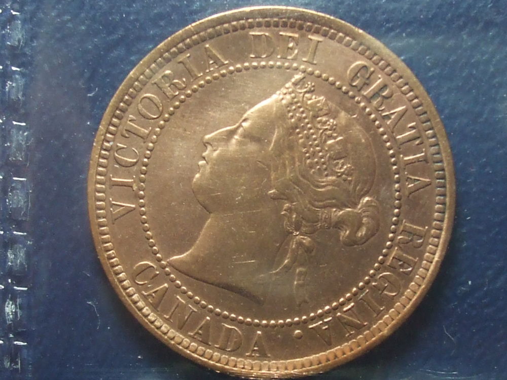 You-Vs-ICCS-1884-Large-Cent