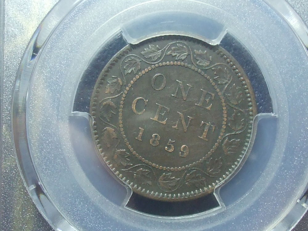 You-Vs-PCGS-1859-Large-Cent