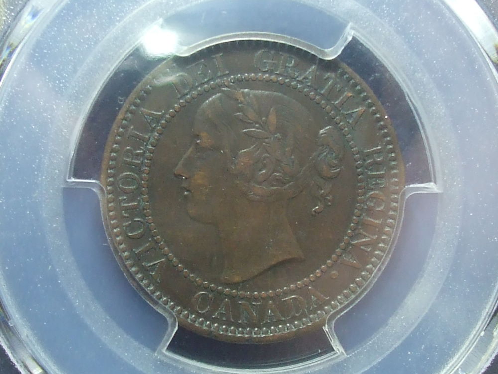 You-Vs-PCGS-1859-Large-Cent