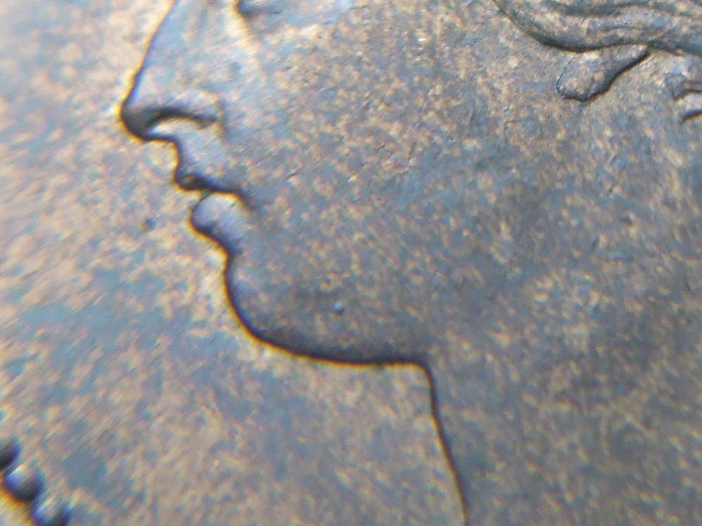 Help-Grading-This-1881-Large-Cent