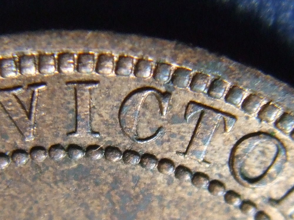 Help-Grading-This-1881-Large-Cent