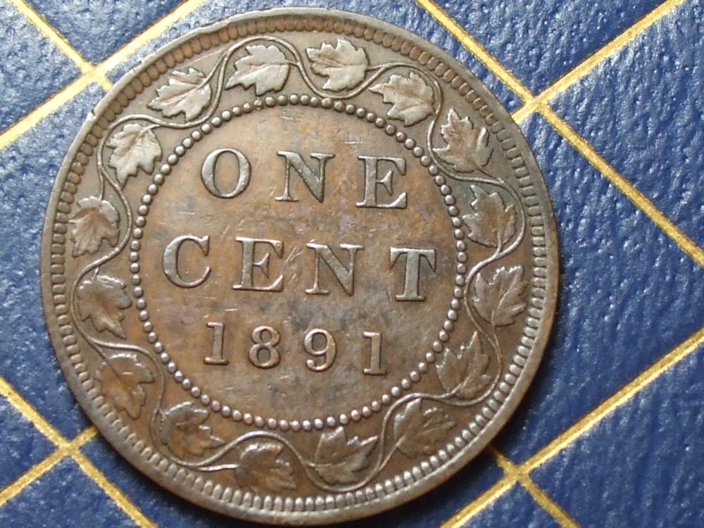 Help-With-This-1891-Large-Cent