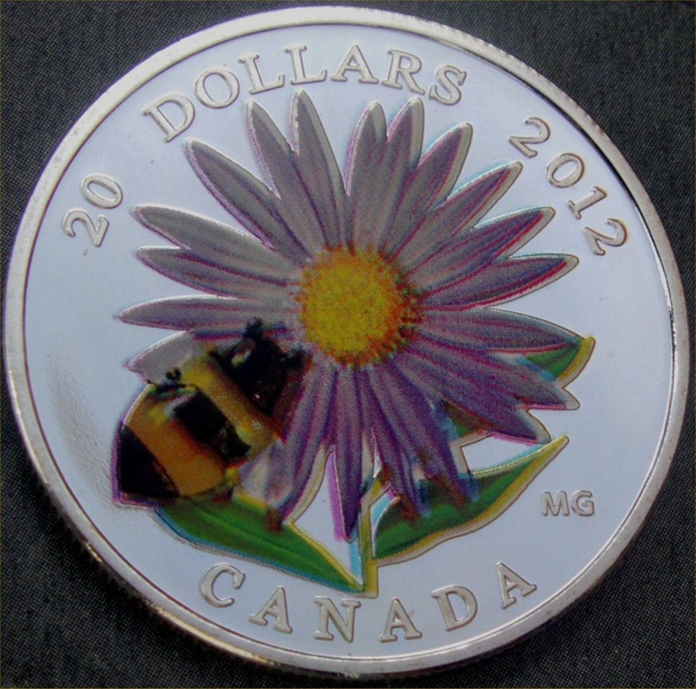 Counterfeit-Canada-Silver-Coins-Birds-Of-Canada-Robin-&-Aster-Bumble-Bee