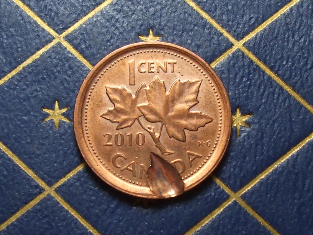 Modern-Error-2010-Penny-Expanation-And-Value-Needed