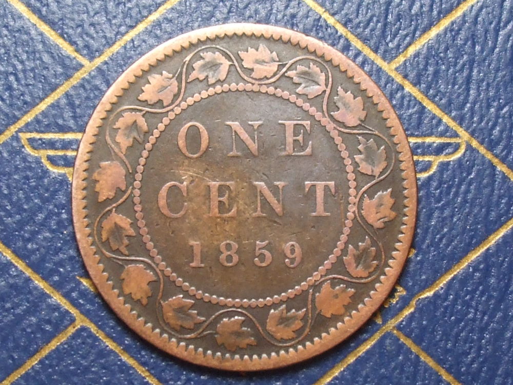 Help-With-Grade-For-1859-Vicky