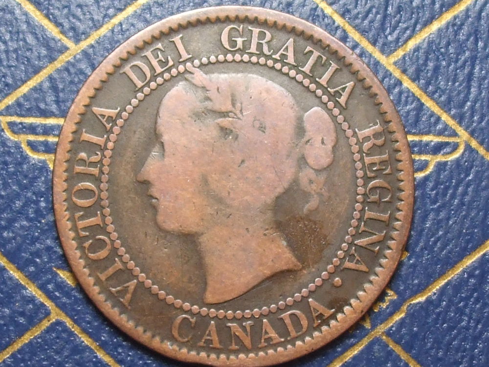 Help-With-Grade-For-1859-Vicky