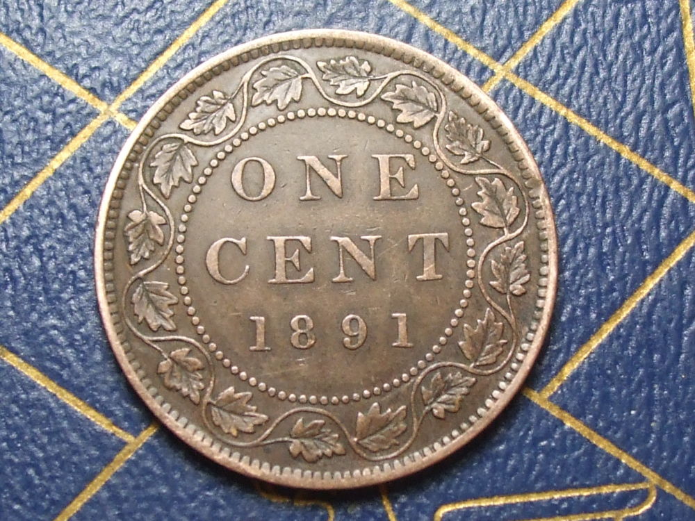 Please-Grade-This-1891-Large-Cent