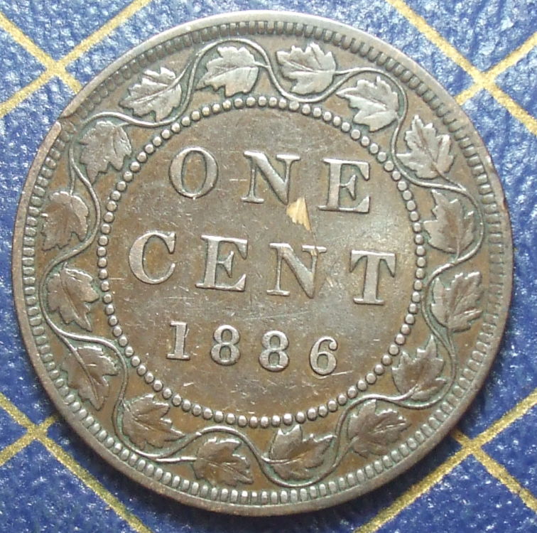 1886-With-Nice-T/P-6