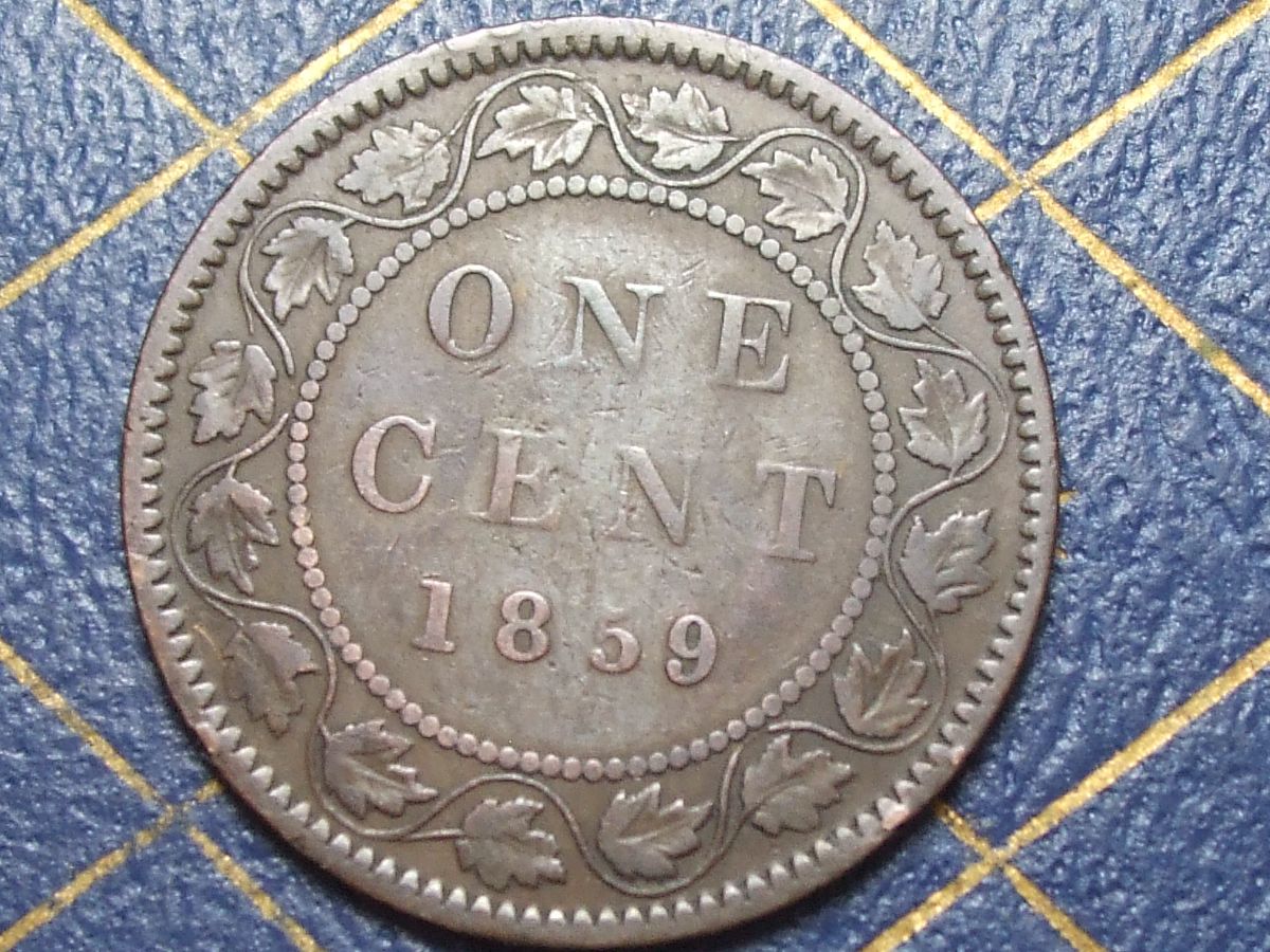 Stumped-With-This-1859-Haxby-ID