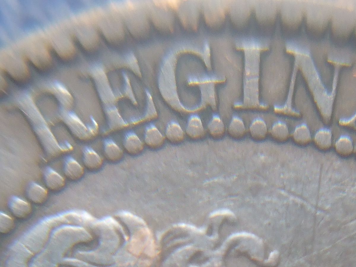 Stumped-With-This-1859-Haxby-ID
