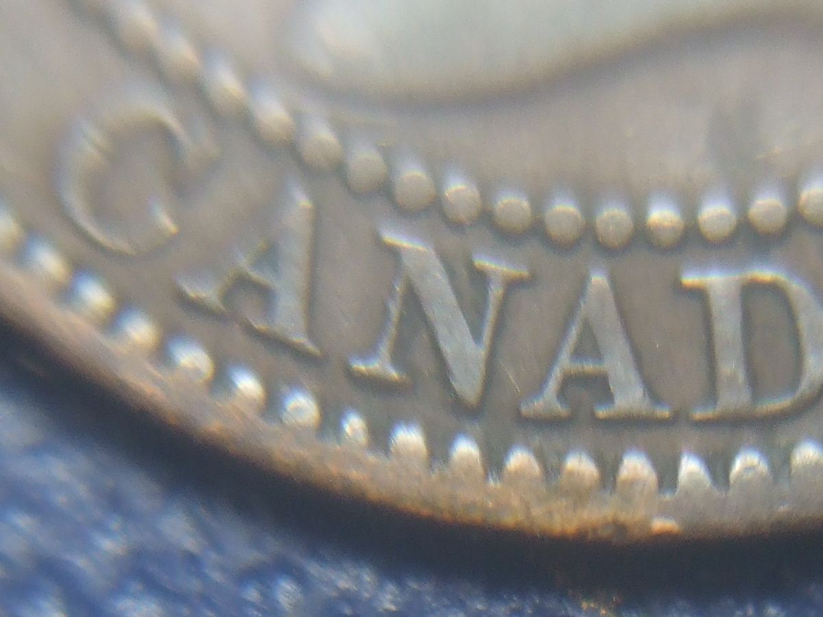 Stumped-With-This-1859-Haxby-ID