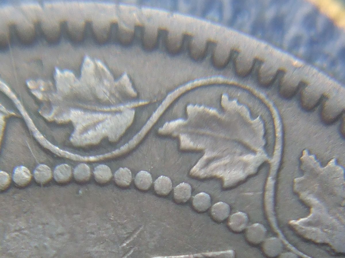 Stumped-With-This-1859-Haxby-ID