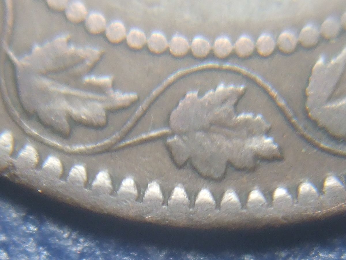Stumped-With-This-1859-Haxby-ID