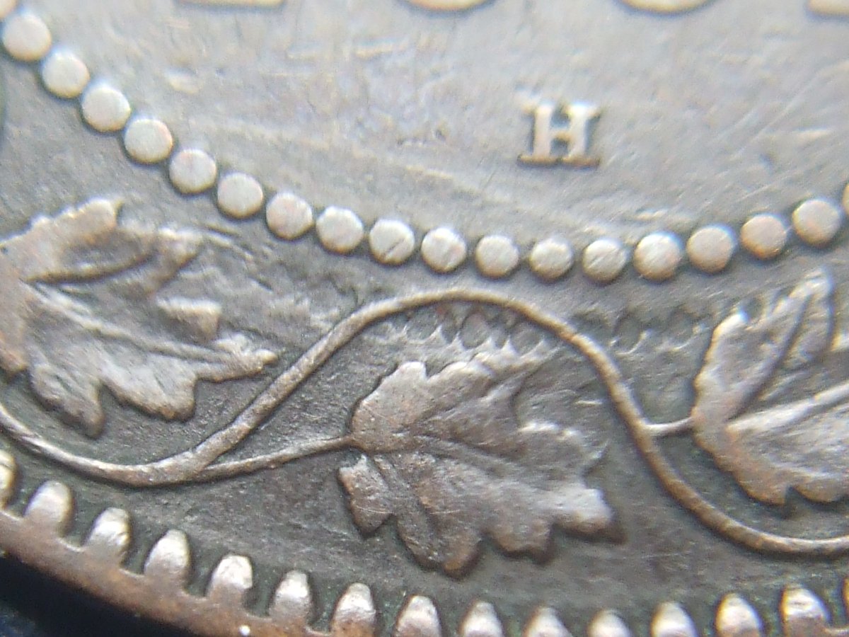 1881-Large-Cent-Variety