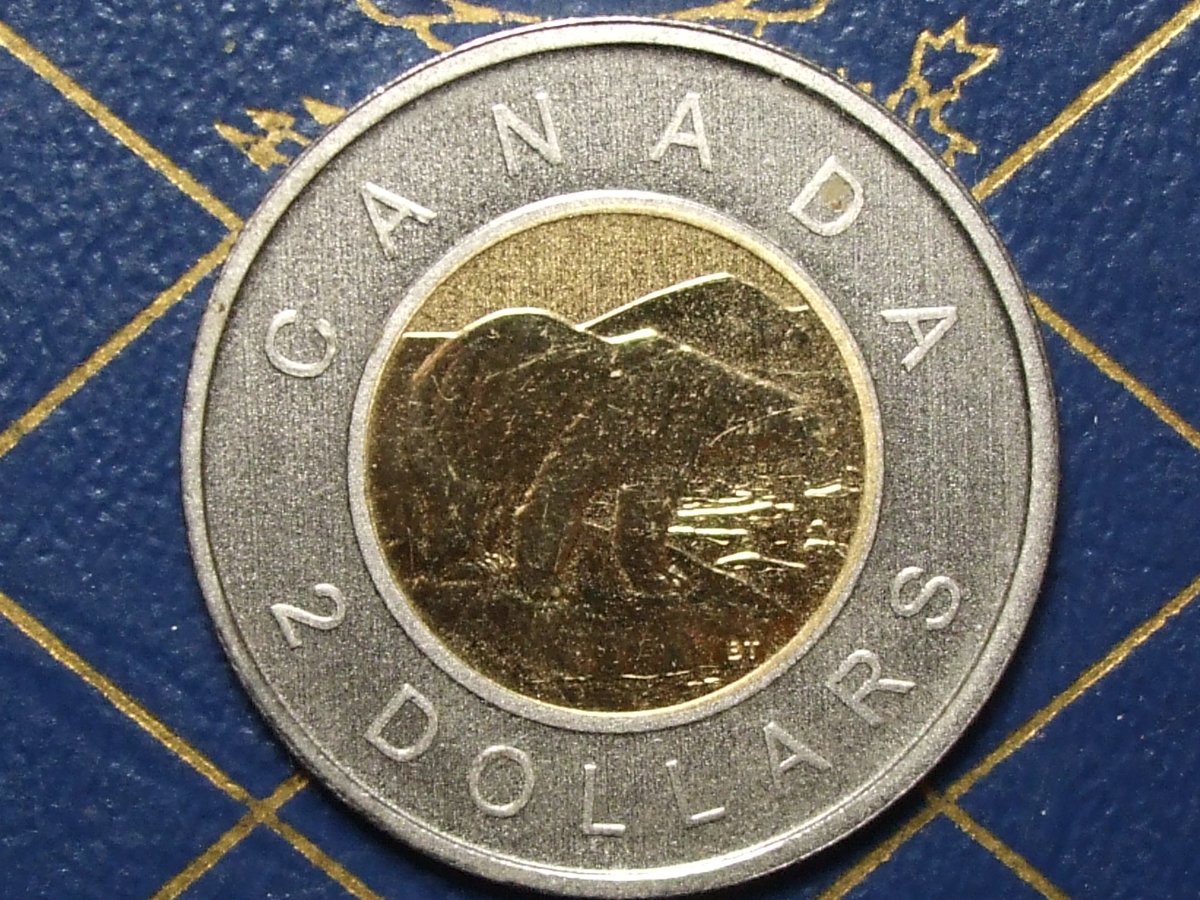 Whats-Up-With-This-2011-Toonie