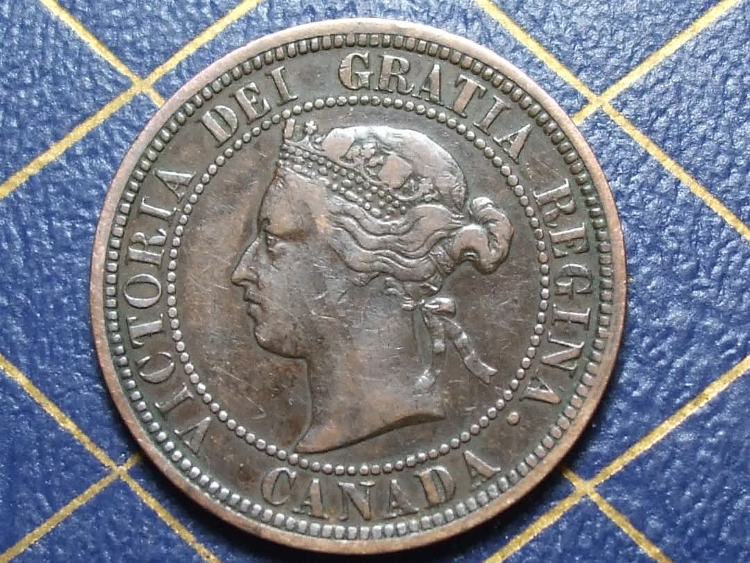 Have-A-New-Large-Cent-1881-SSN