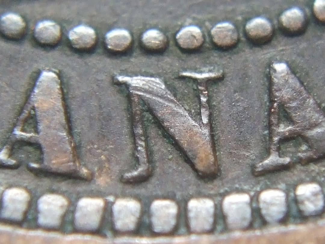 Have-A-New-Large-Cent-1881-SSN