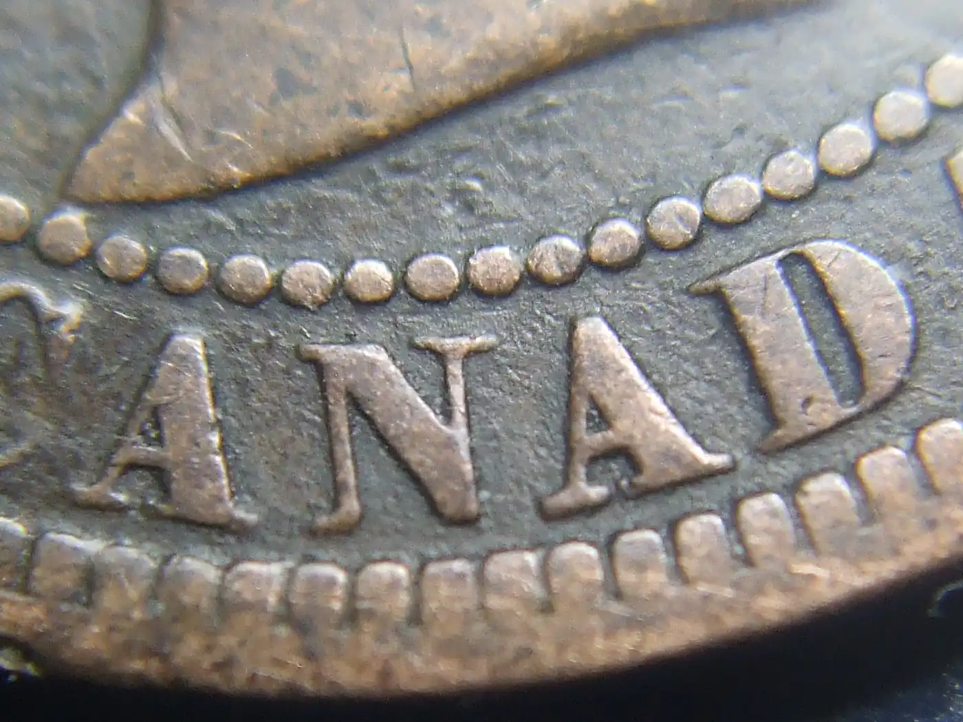 Nice-Score-At-The-Coin-Show-Today-1881-SSN