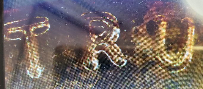 2021-Lincoln-Shield-Cent-Possible-Error?