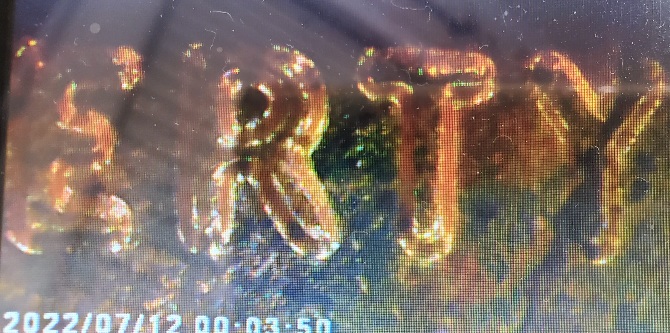 2021-Lincoln-Shield-Cent-Possible-Error?