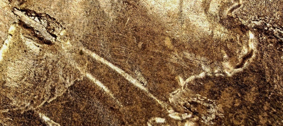2021-Lincoln-Cent-Clash-Error?