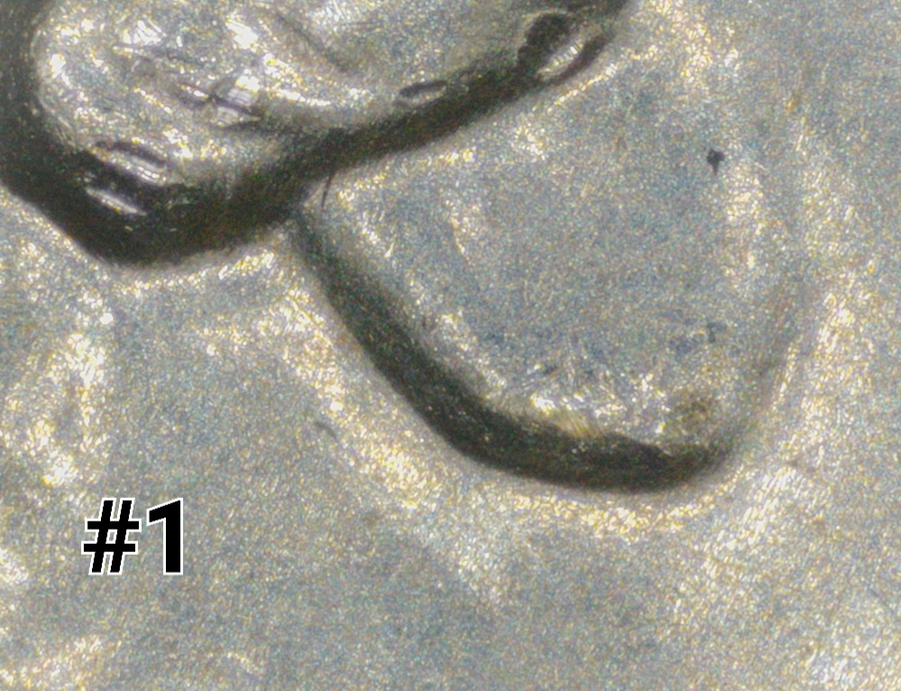 2024-P-Pauli-Murray-Quarter-DDO-002?