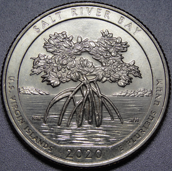 2020-P-US-Virgin-Islands---Salt-River-Bay-WDDO-002
