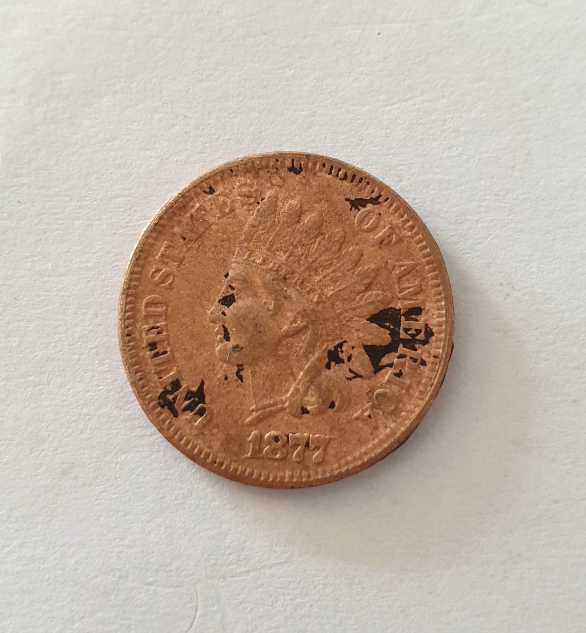 Indian-Head-And-Flying-Eagle-Finds
