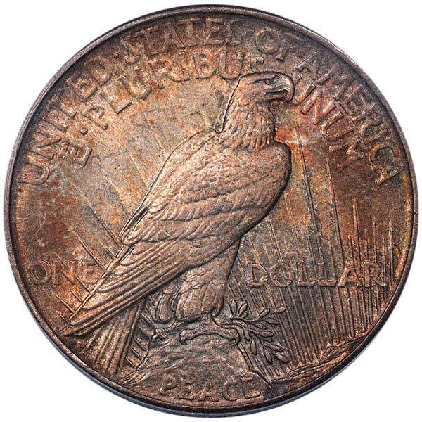 My-New-1921-Peace-Dollar-Toned-MS-64-PCGS-Cac-Nice-Pickup!