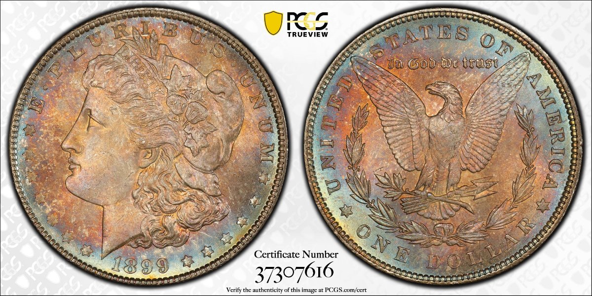 All-Members,-Post-Your-Most-Recent-US-Coin-Purchases!